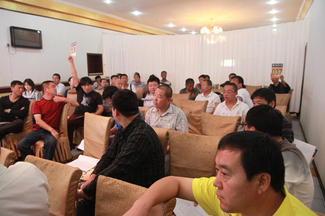 沧州市财政局超标车辆昨日在沧州世特酒店公开拍卖